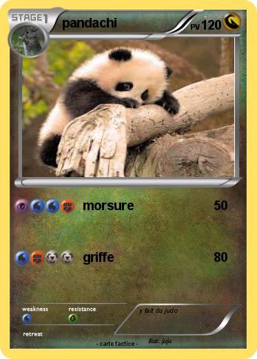 Pokemon pandachi