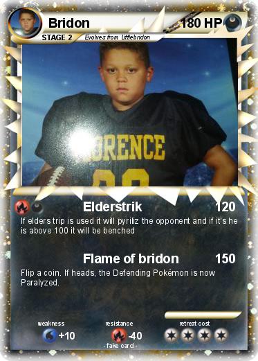 Pokemon Bridon