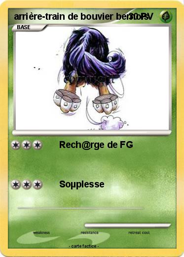 Pokemon arrière-train de bouvier bernois