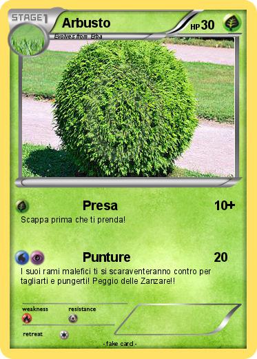 Pokemon Arbusto