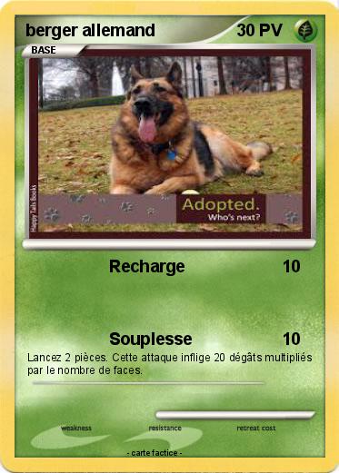 Pokemon berger allemand