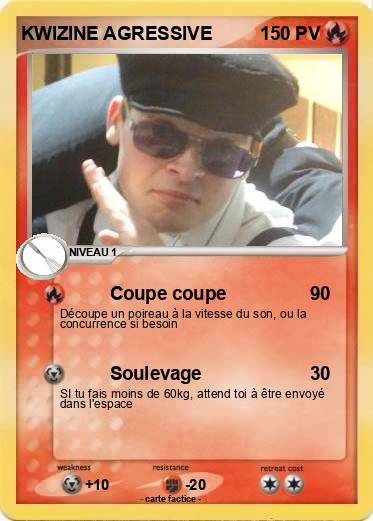 Pokemon KWIZINE AGRESSIVE
