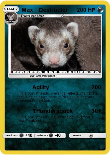 Pokemon Max    Destructer