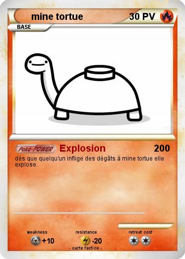 Pokemon mine tortue