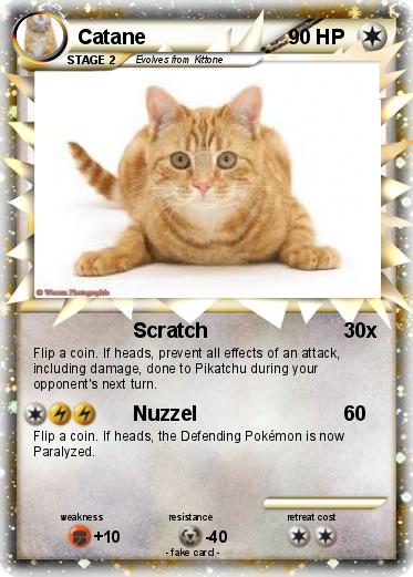 Pokemon Catane