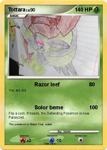 Pokemon Tottara