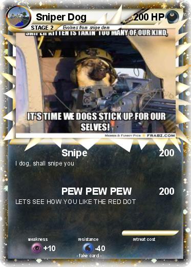 Pokemon Sniper Dog