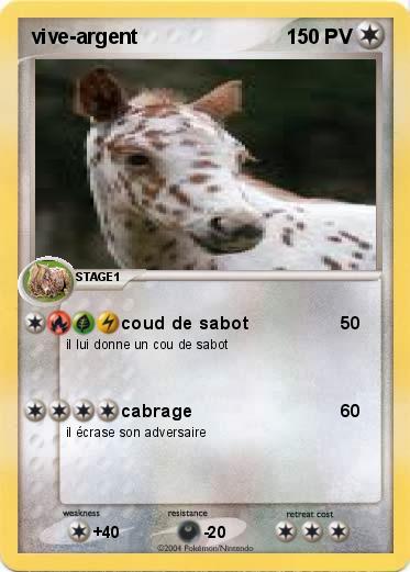 Pokemon vive-argent