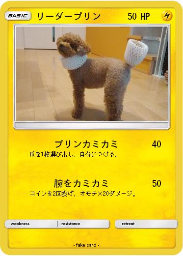 Pokemon リーダープリン