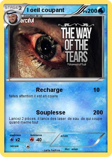 Pokemon l oeil coupant