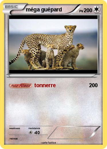 Pokemon méga guépard