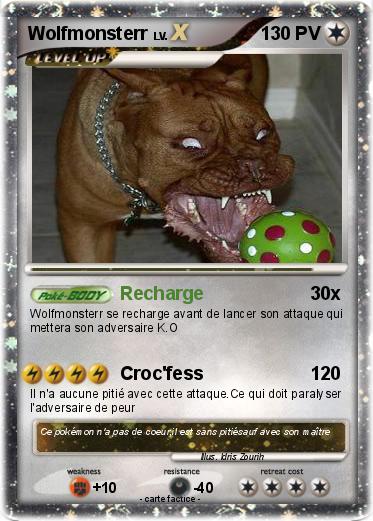 Pokemon Wolfmonsterr