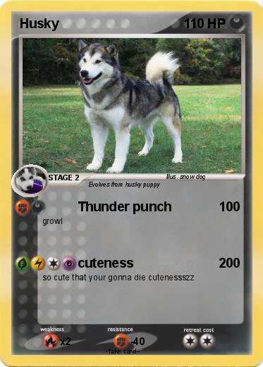 Pokemon Husky