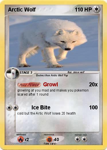 Pokemon Arctic Wolf