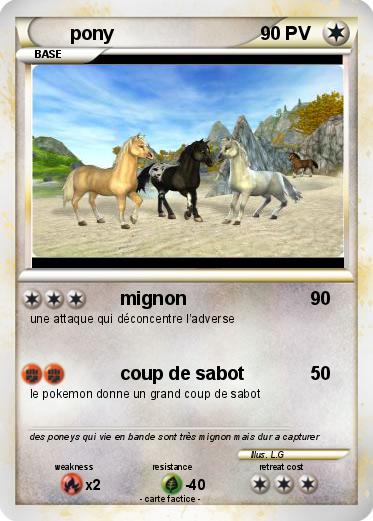 Pokemon pony