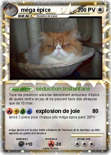 Pokemon méga épice