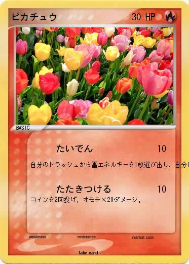 Pokemon ピカチュウ