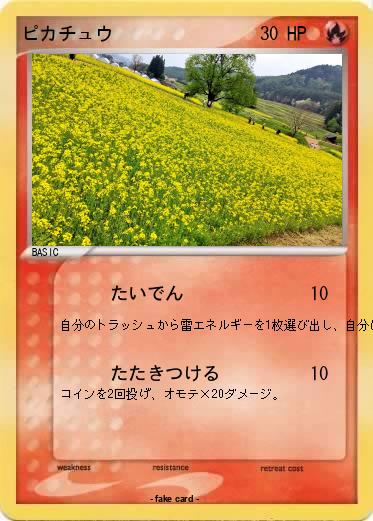Pokemon ピカチュウ