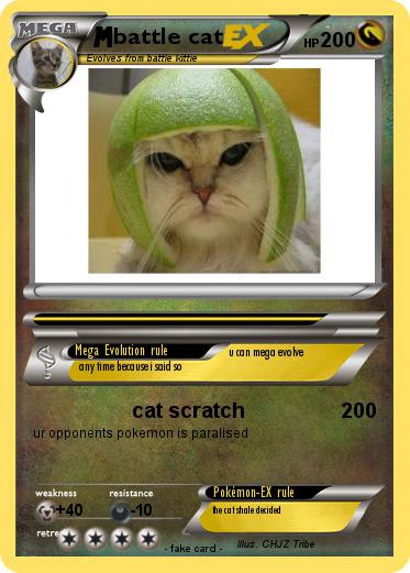 Pokemon battle cat