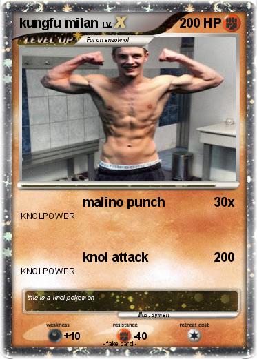 Pokemon kungfu milan