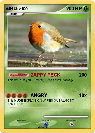 Pokemon BIRD