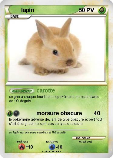 Pokemon lapin