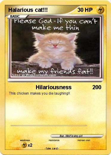 Pokemon Halarious cat!!!