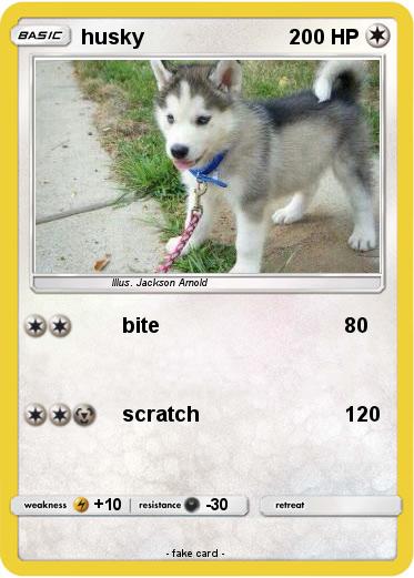 Pokemon husky