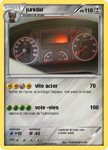 Pokemon junidal