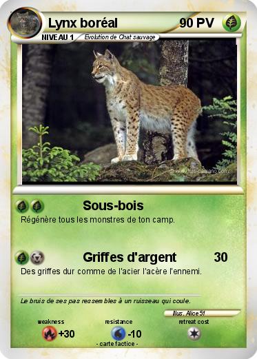 Pokemon Lynx boréal