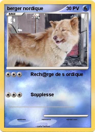 Pokemon berger nordique