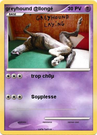 Pokemon greyhound @llongé