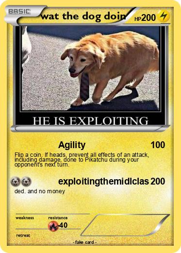 Pokemon wat the dog doin