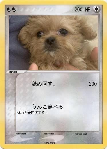 Pokemon もも