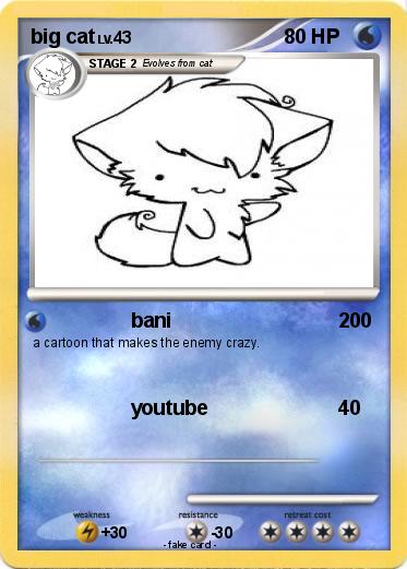 Pokemon big cat