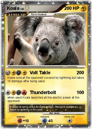 Pokemon Koala