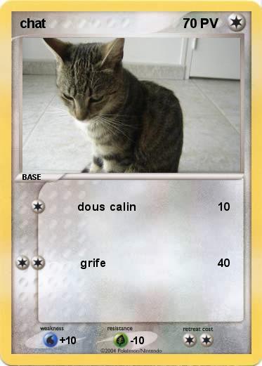 Pokemon chat