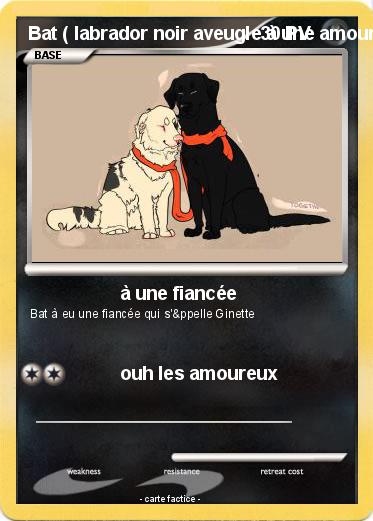 Pokemon Bat ( labrador noir aveugle à une amoureuse )