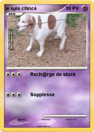 Pokemon je sµis c0incé