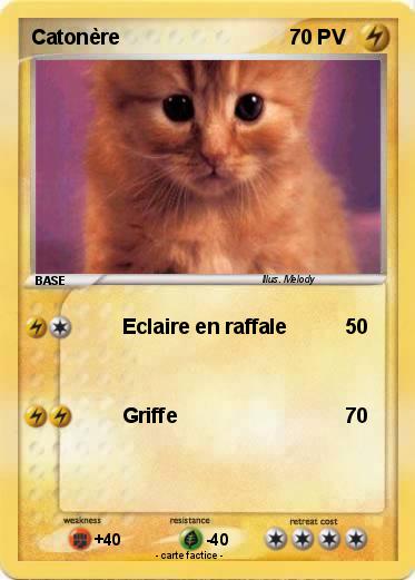 Pokemon Catonère