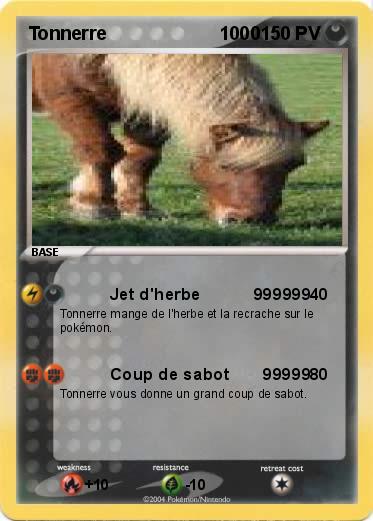 Pokemon Tonnerre                      1000