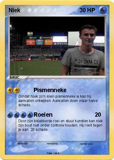 Pokemon Niek