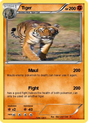 Pokemon Tiger