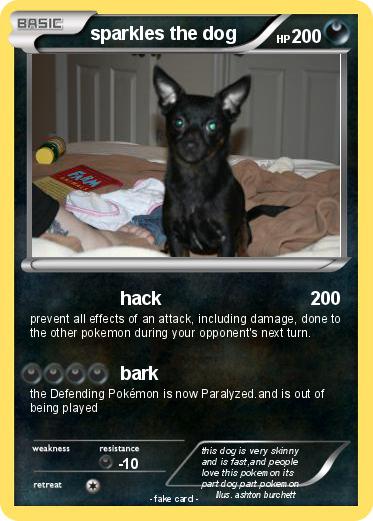 Pokemon sparkles the dog
