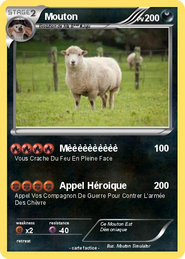 Pokemon Mouton