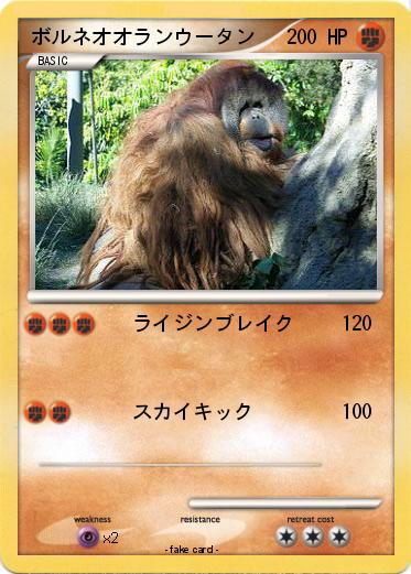 Pokemon ボルネオオランウータン