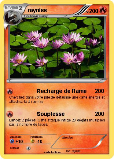 Pokemon rayniss