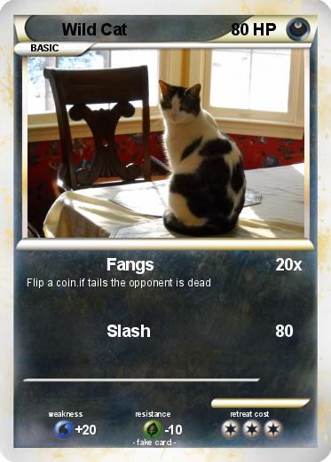 Pokemon Wild Cat