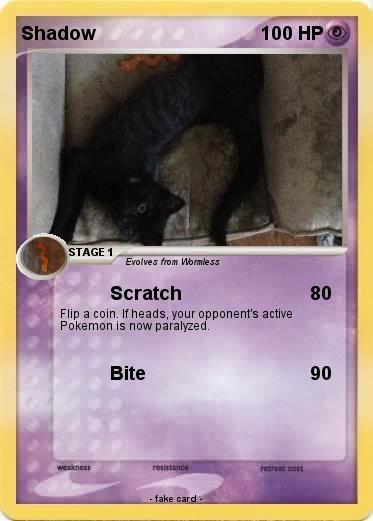Pokemon Shadow