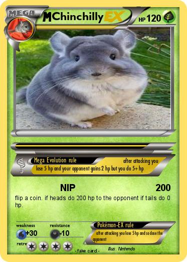 Pokemon Chinchilly
